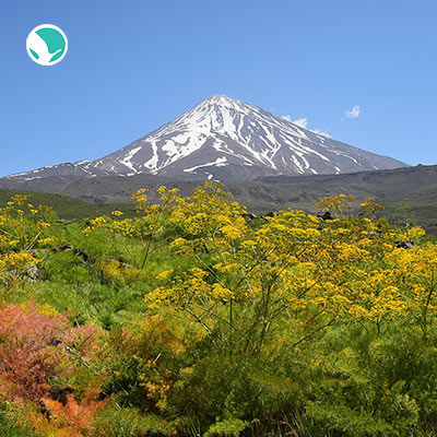 Lar National Park