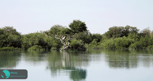 Qeshm Island