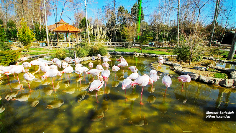Isfahan Birds garden