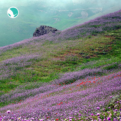 Asalem to khalkhal road