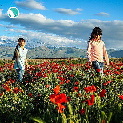 How to get Ardabil from Tehran?