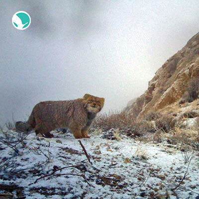 Salouk National Park