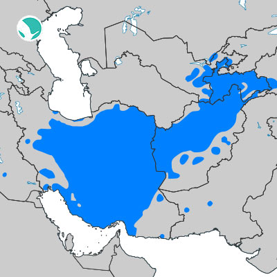 The Persian Language -  A Complete Guide