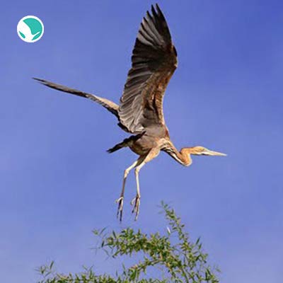 Where is Khojir National Park?
