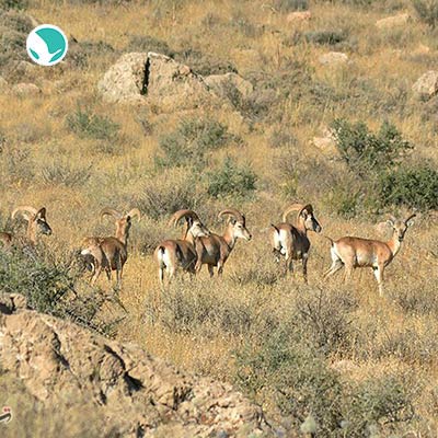 Bamu National Park