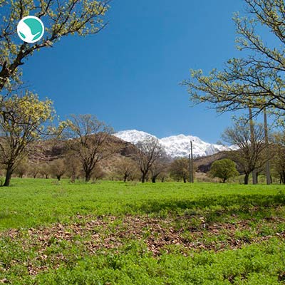 Mount Dena