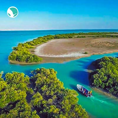 Qeshm's Green Gold
