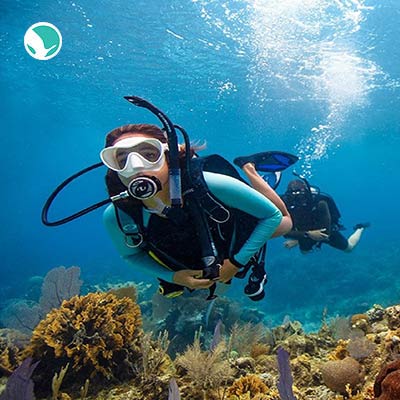 Diving in Qeshm