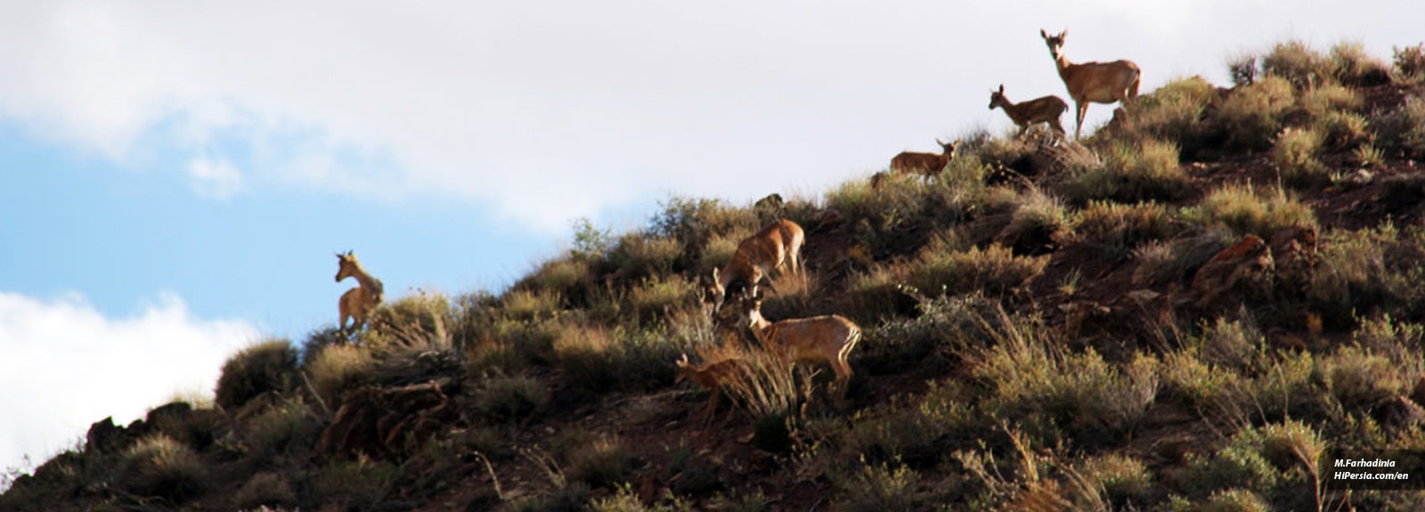 Salouk National Park