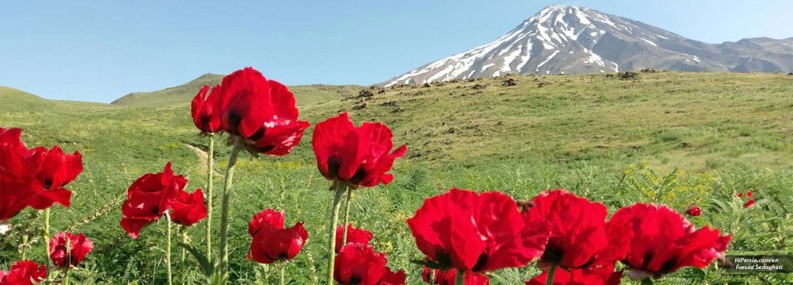 Lar National Park