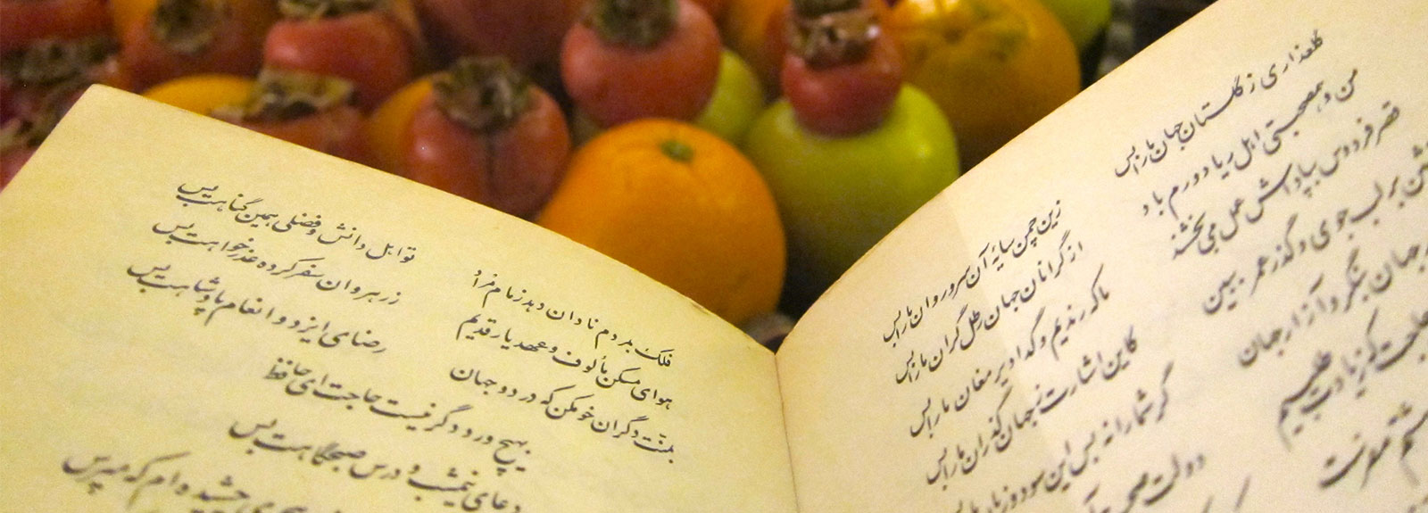 The Persian Language -  A Complete Guide