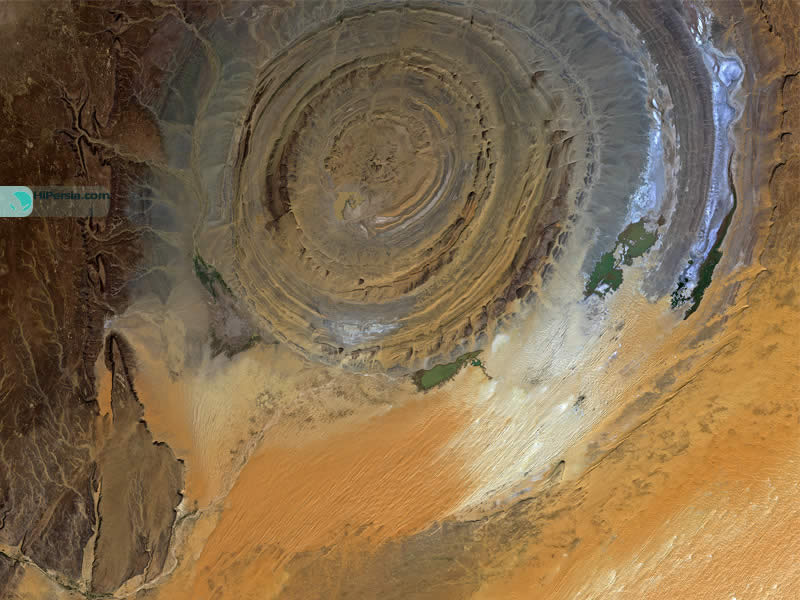 موریتانی