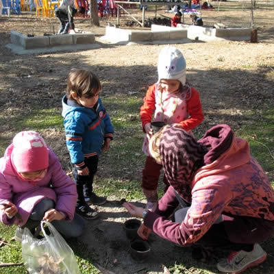 سفر آشتی با درخت (زبان انگلیسی)