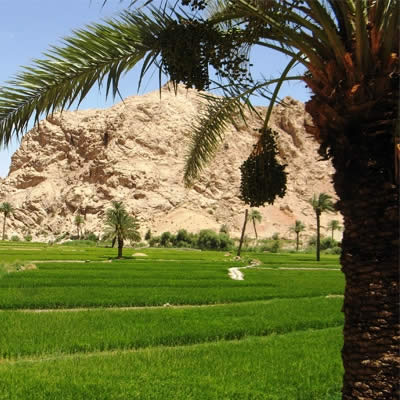 طبس کجاست؟