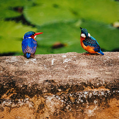 مومباسا کجاست؟