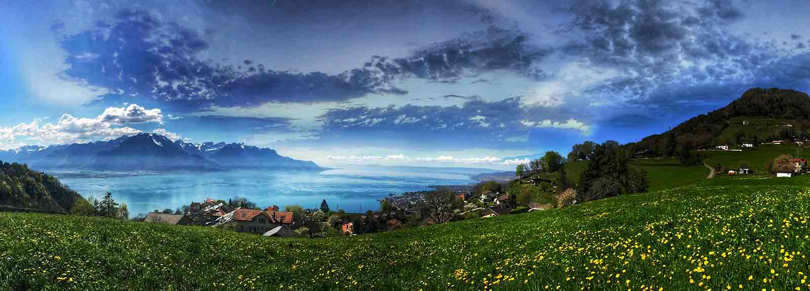 زبان مردم سوئیس چیست؟