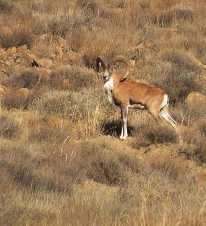 3 Days Golestan National Park Tour