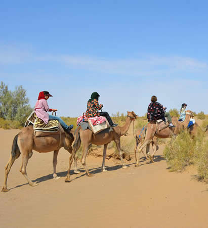 18 Days Camel Riding Tour