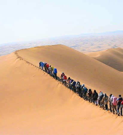 1 Day Maranjab Desert Tour